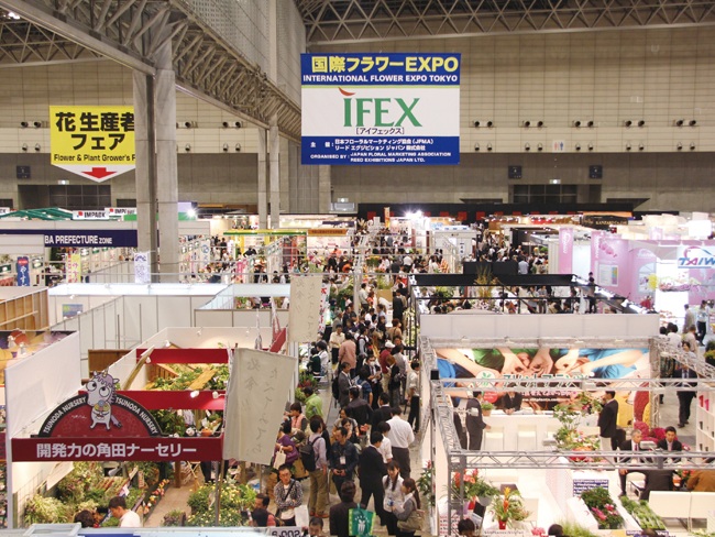 В Японии проходит Международная выставка цветов IFEX 2012