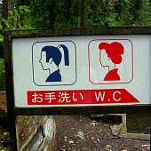 20 фактов о японских туалетах