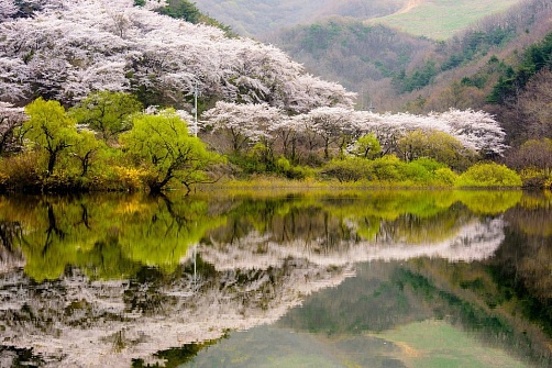 Корея: Майские праздники
