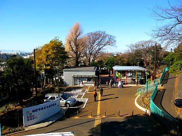 Зоопарк Ногеяма
