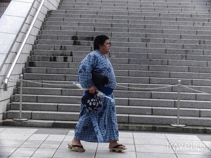 Пешеходная экскурсия с борцами сумо по Асакусе и Рёгоку