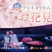 Цветущая вишня: Завораживающее шоу в планетариях Токио