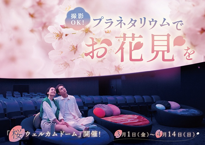 Цветущая вишня: Завораживающее шоу в планетариях Токио