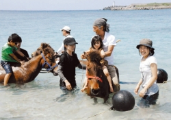 В Японии состоялось официальное открытие пляжного сезона на острове Йонагуни