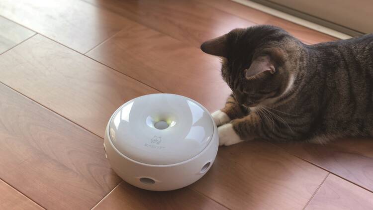Робот-игрушка для вашей кошки