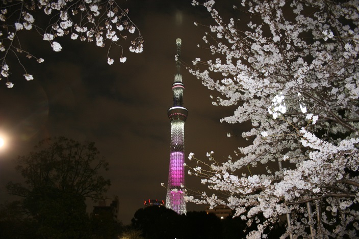 Tokyo Sky-tree цвета сакуры