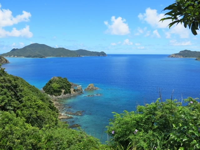 4 японских острова добавлены в список всемирного наследия ЮНЕСКО
