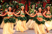 29 апреля - 08 мая Гавайский Фестиваль  на Одайбе