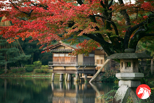 Осень в Японии