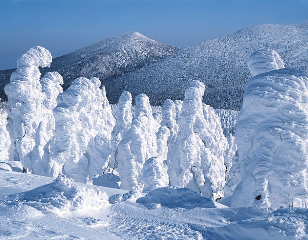 В Японии зима снова сотворила &#34;снежных монстров&#34;