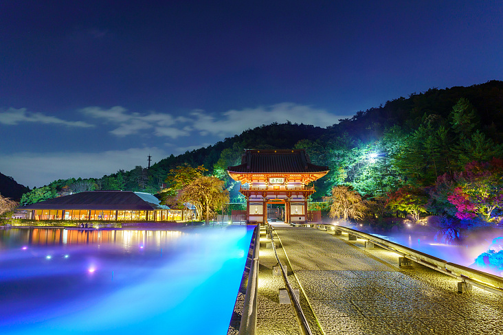 Осенние огни храма Кацуо-дзи в Осаке: волшебство ночных прогулок