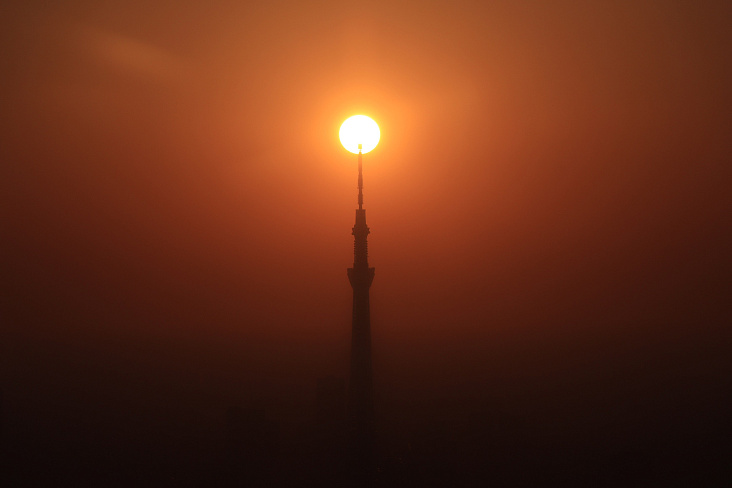 Культовой башне SkyTree - 10 лет