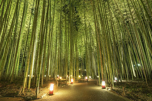 Киото: Арасияма