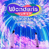 Открылось новое иммерсивное пространство Wonderia Yokohama