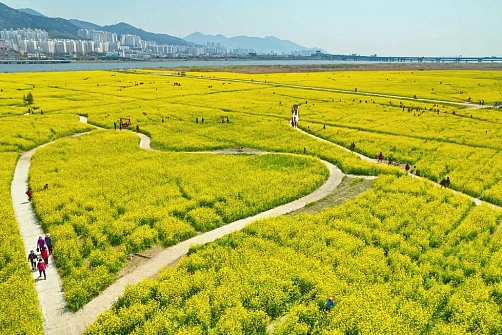 Корея: Майские праздники