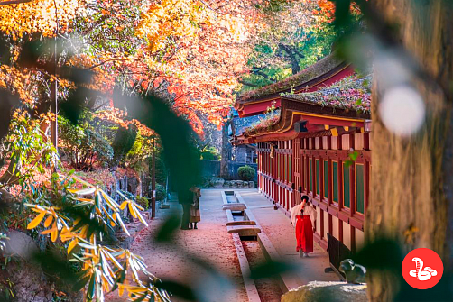 Япония без туристов: Беппу, Фукуока, Хиросима