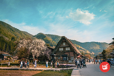 Экскурсия в Сиракаваго и Такаяма (из Канадзава)