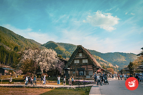 Экскурсия в Сиракаваго и Такаяма (из Канадзава)