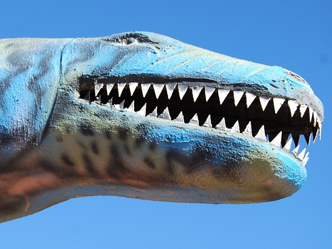 Скелет динозавра с острова Уайт привезли в Японию