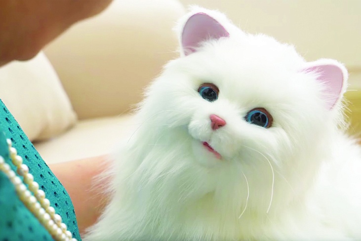 Digirect выпустила котика-робота, чтобы скрасить одиночество пожилых японцев