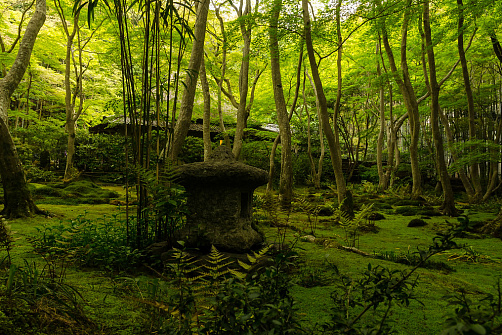 Киото: Арасияма