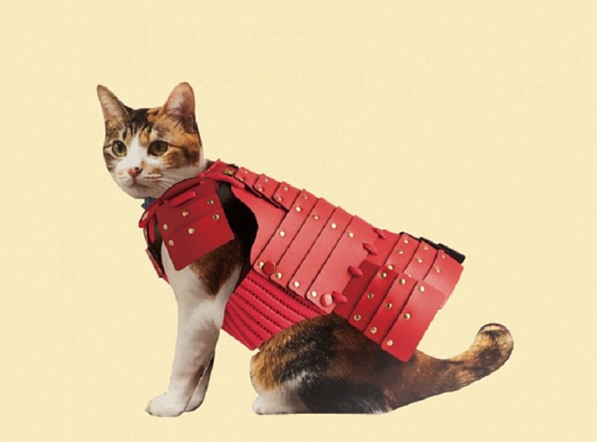 В Японии начали создавать самурайские доспехи для кошек и собак