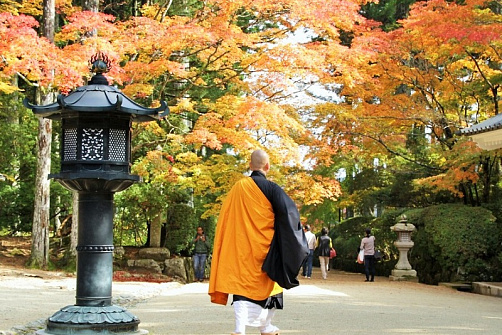 Изумительная Япония