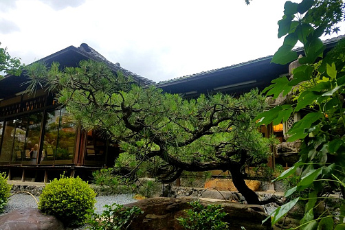 Тур в Японию и Корею 2025: от храмов Киото до EXPO в Осаке