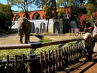 Зоопарк «Zoorasia»