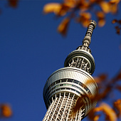 В японской башне Tokyo Skytree запустили дискотеку 80-90х