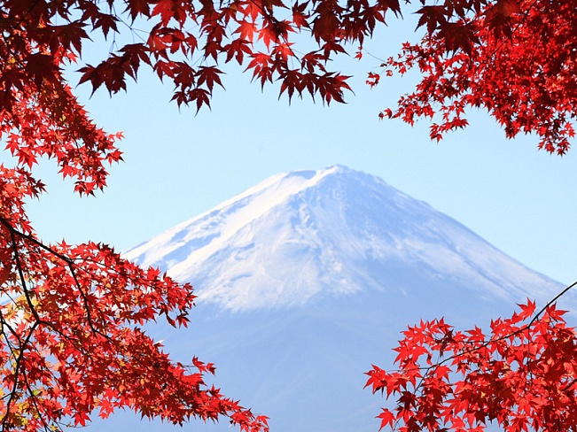 Осенний фестиваль красного клена на озере Кавагути стартует 1 ноября