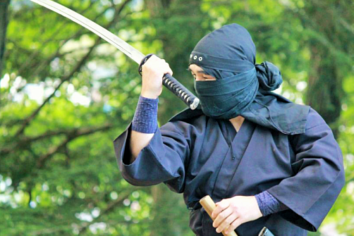 Мастер-класс по искусству ниндзя