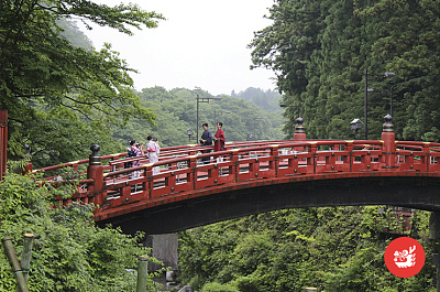 Успей на сакуру! (с авиа!) экскурсии