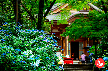 Токио глазами японца