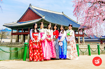 2 страны, 2 культуры: Япония и Корея