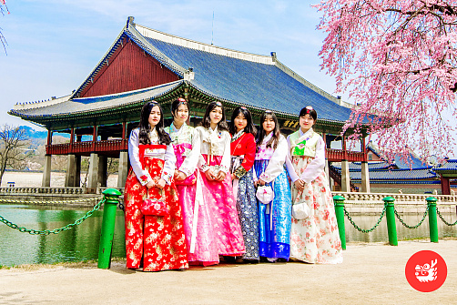 2 страны, 2 культуры: Япония и Корея