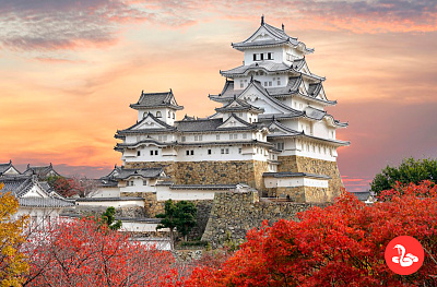 Регион Киото, 360° экскурсии