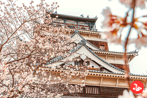 Возрожденная Хиросима