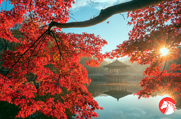 Изумительная Япония