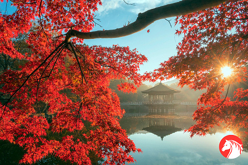 Изумительная Япония