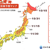 Прогноз на сроки любования осенними листьями в Японии на 2022 год