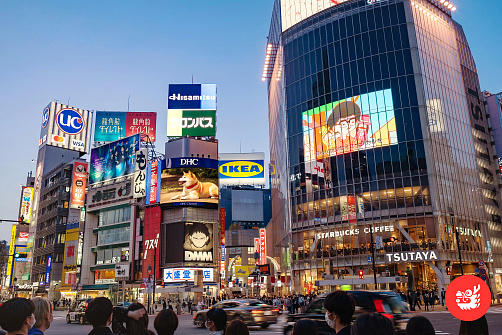 Обзорная экскурсия по Токио