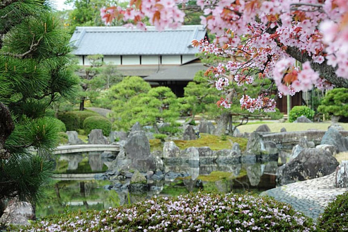 Сакура и скрытая Япония