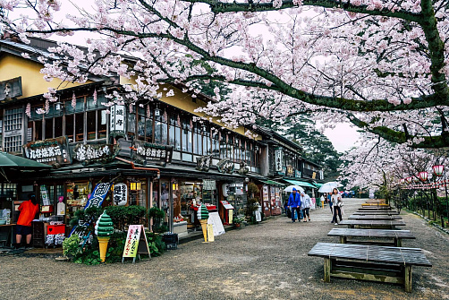 Пакетный тур Мировое наследие Японии