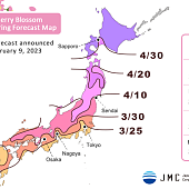 Обновления по прогноз цветения сакуры весной 2023