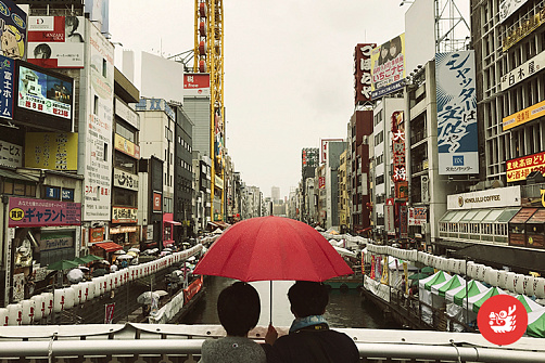 Осака без границ, 8 дней