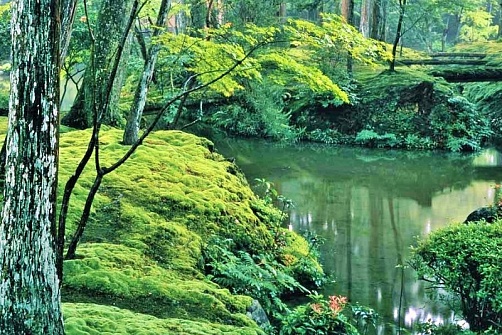 Очаровательный мир древнего Киото