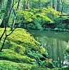 Очаровательный мир древнего Киото