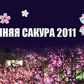 Зимняя Сакура 2011