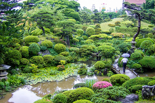 Весна в Японии. Токио и фестиваль Сакуры.